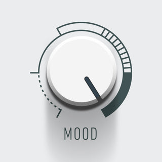 Fuzzy Overdrive Pedal: Grainy, Saturated Drive Tones with RIDGE